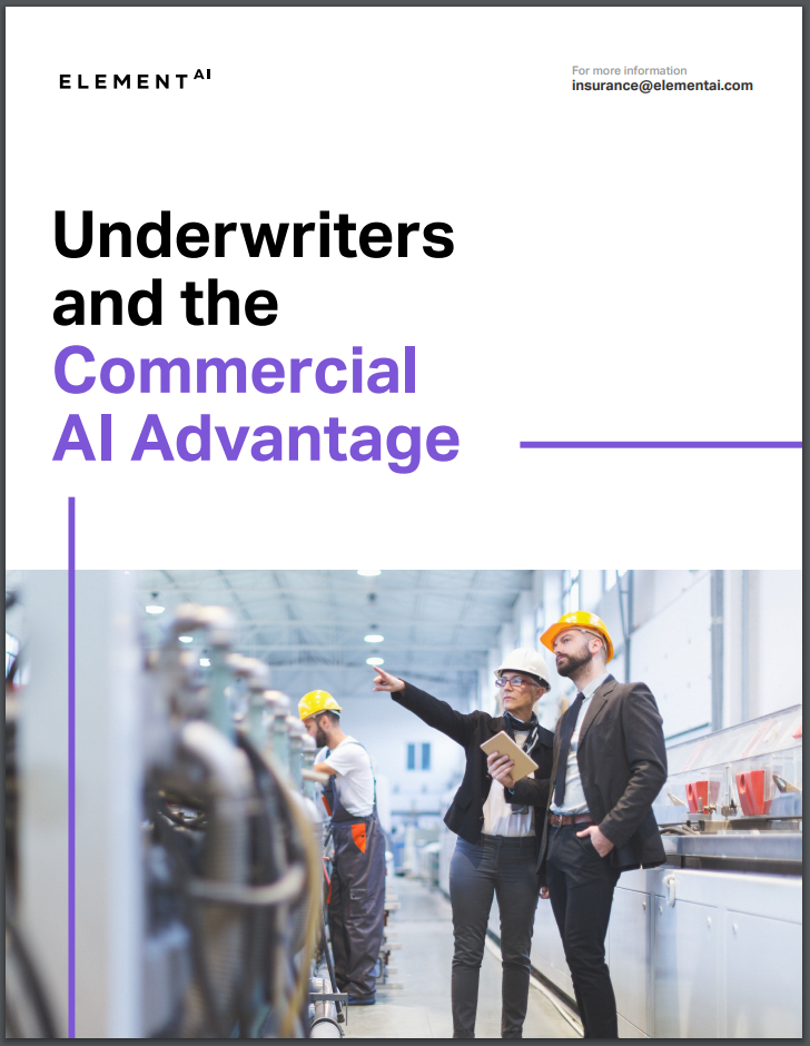 Underwriting Whitepaper_Cover2.PNG